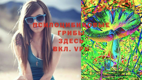 прущая мука Медвежьегорск