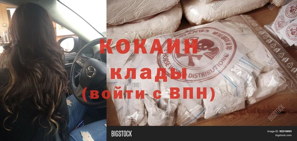 молекула духа Мегион