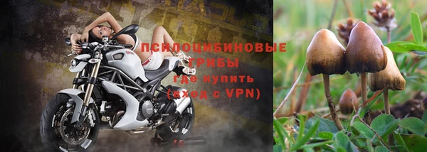 прущая мука Медвежьегорск