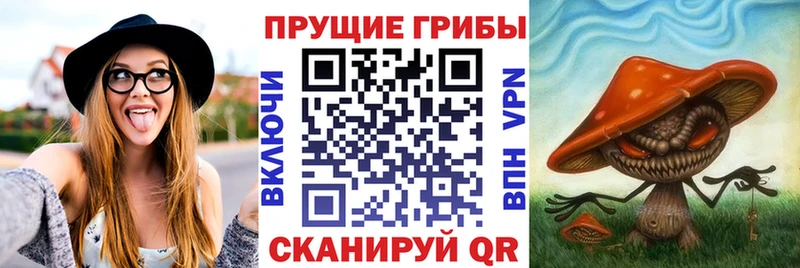omg маркетплейс  дарк нет клад  Псилоцибиновые грибы ЛСД  купить наркотик  Дзержинск 