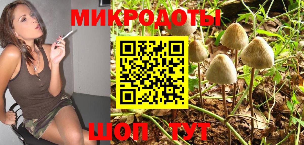 закладки  Псилоцибиновые грибы Magic Shrooms  Дзержинск  Псилоцибиновые грибы MAGIC MUSHROOMS 