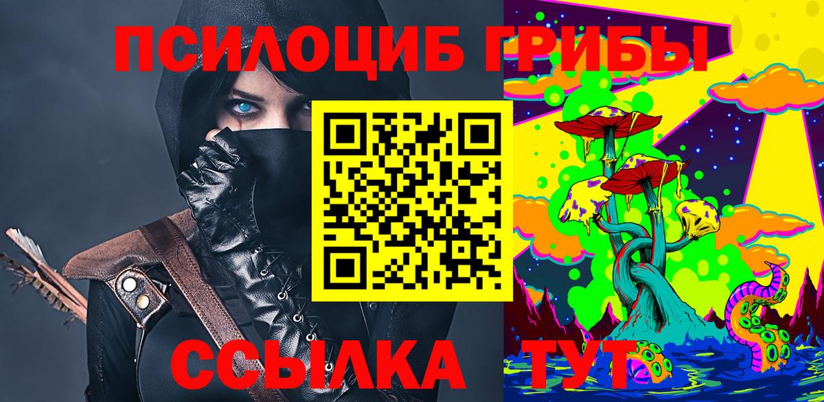 Псилоцибиновые грибы мицелий Дзержинск
