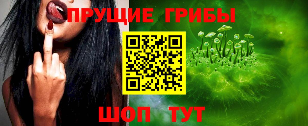 Дзержинск  Галлюциногенные грибы GOLDEN TEACHER  Вход с VPN 